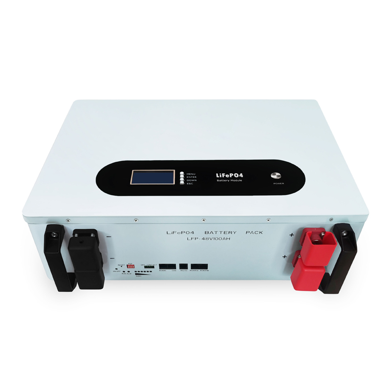 Wall Mounted LFP Battery Wall Mounted LFP Battery